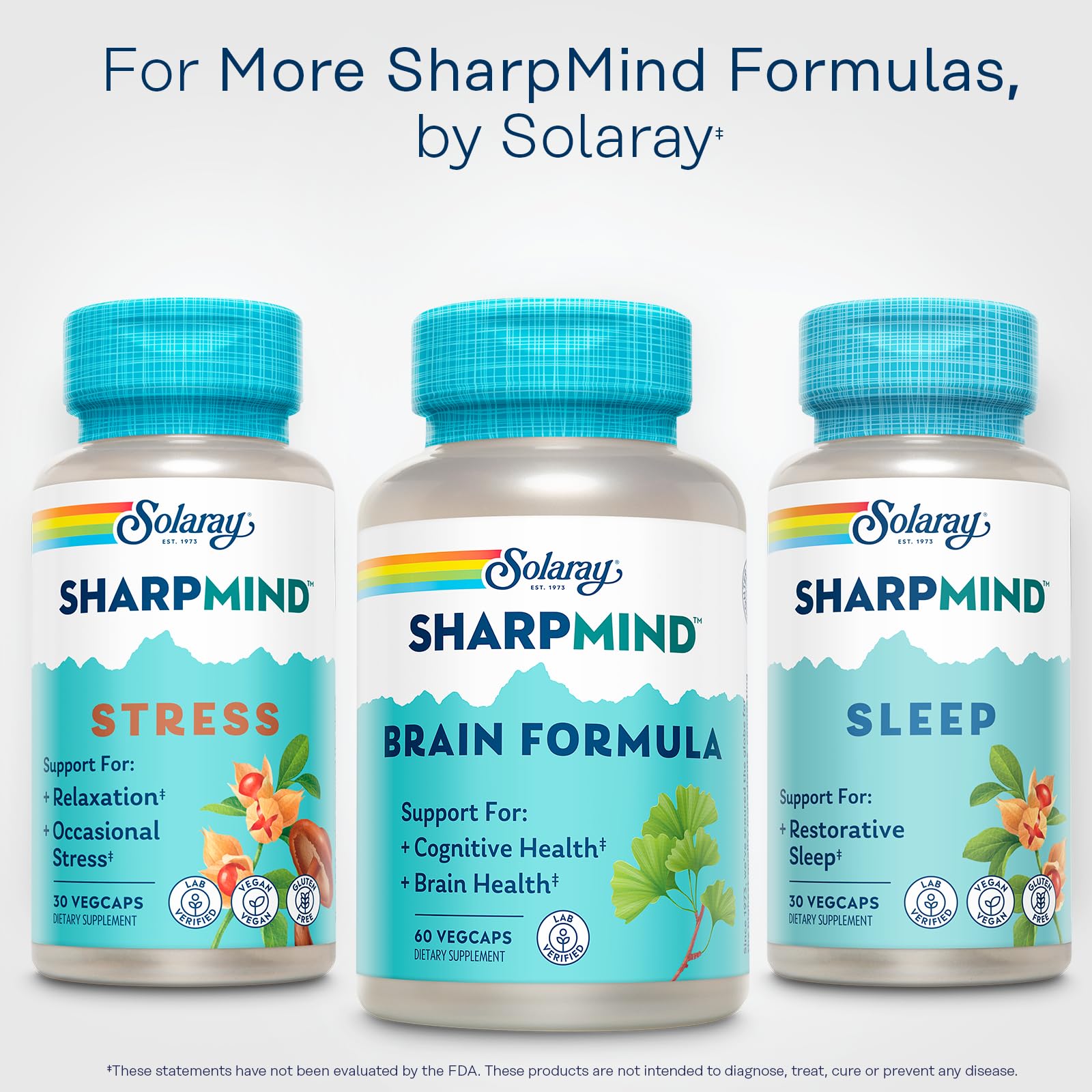 Solaray SharpMind Brain Formula – Nootropic Brain Support with Ginkgo Biloba (60 Servings)