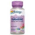 SOLARAY Turmeric 300 mg – Joint Support (95% Curcumin) – Vegan, Lab Verified, 120 CT