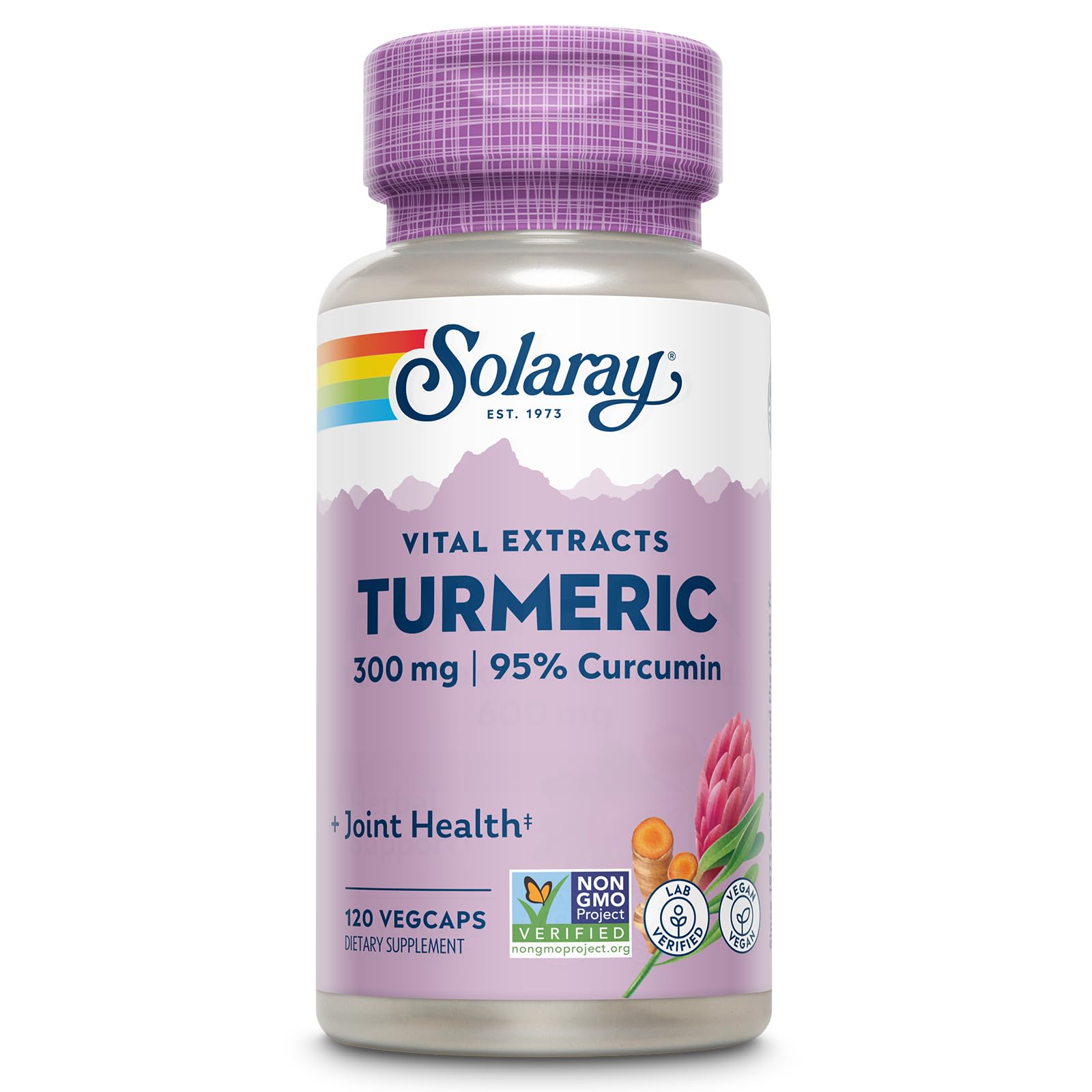 SOLARAY Turmeric 300 mg – Joint Support (95% Curcumin) – Vegan, Lab Verified, 120 CT