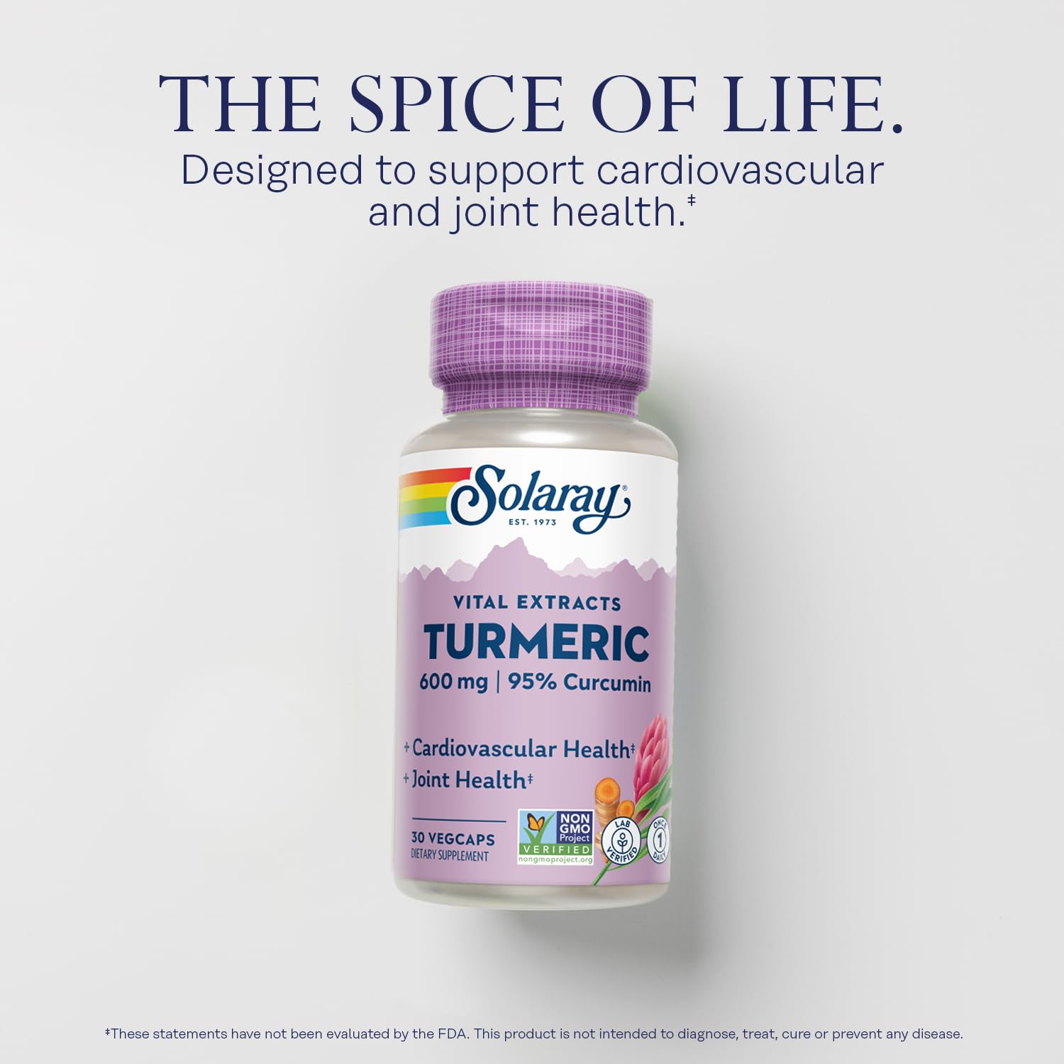 SOLARAY Turmeric 600mg – 95% Curcuminoids | Joint, Gallbladder & Liver Support