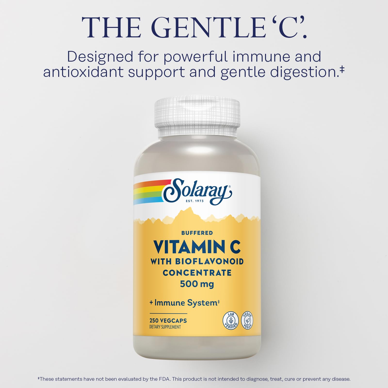 SOLARAY Buffered Vitamin C 500mg with Rose Hips & Acerola Cherry - Immune Support, Vegan, Lab Verified