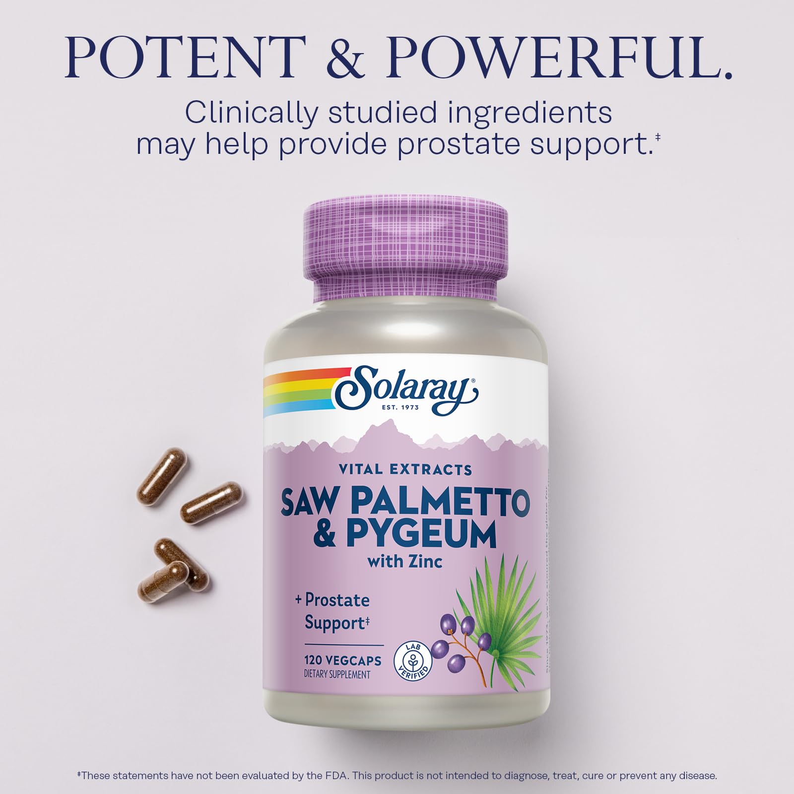 SOLARAY Saw Palmetto & Pygeum – Prostate Health Support for Men | Zinc, Pumpkin Seeds, Vitamin B6 | Vegan & Gluten Free | 30 Servings