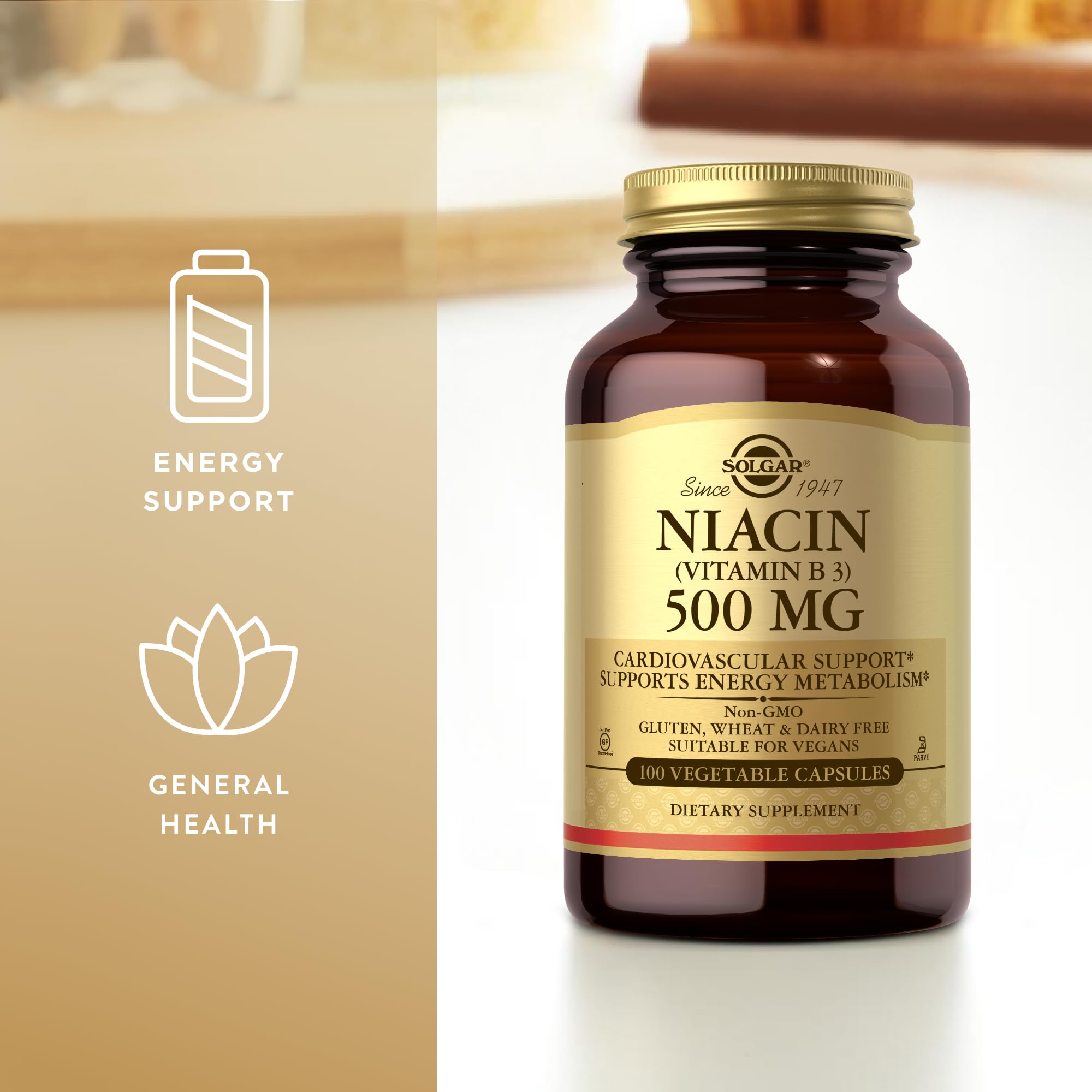 Solgar Niacin (Vitamin B3) 500 mg – 100 Vegetarian Capsules | Energy Metabolism