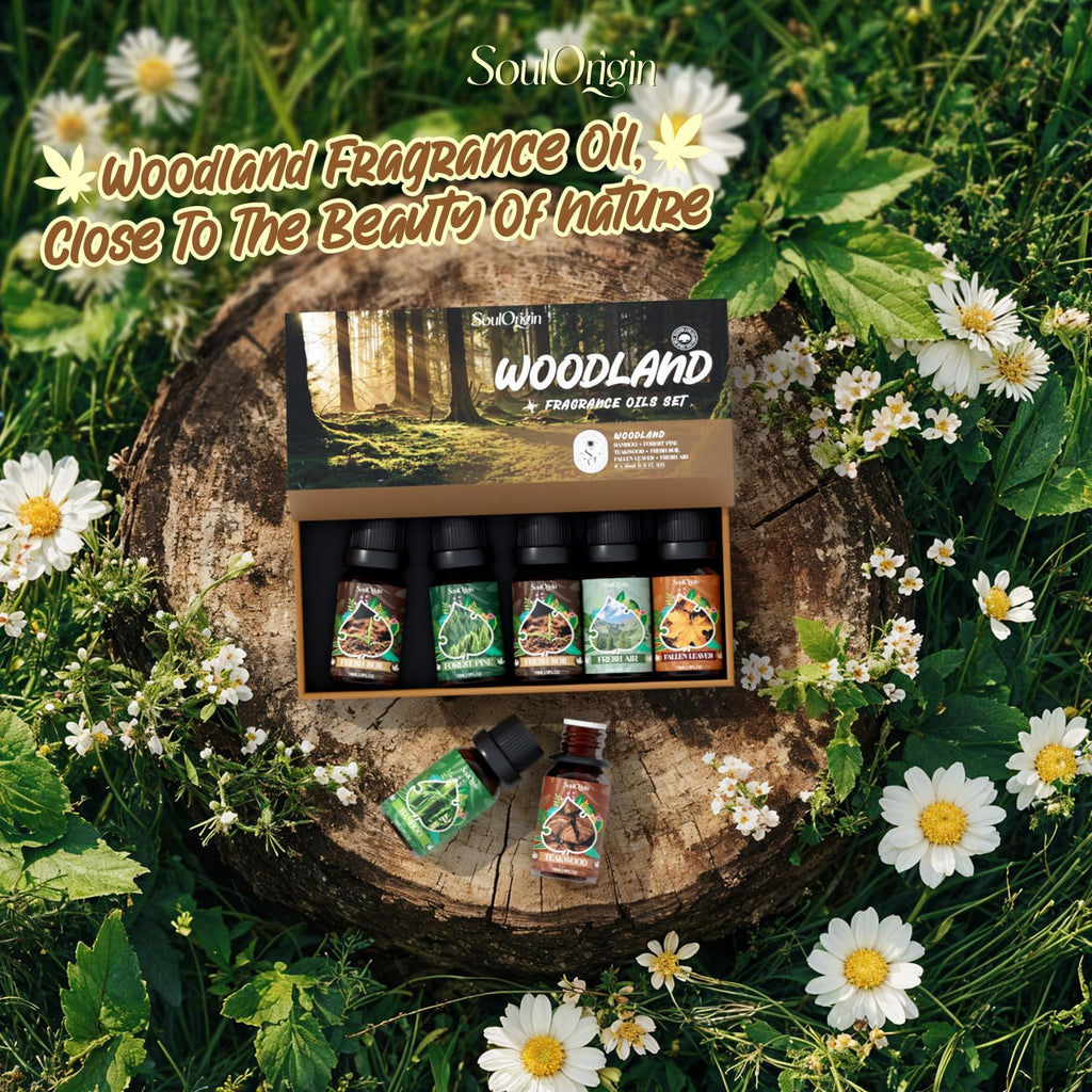 Soulorigin Woodland Fragrance Oils Set – Essential Oil Gift for Diffusers (Forest Pine, Teak, Bamboo, Fresh Soil, Fallen Leaves, Fresh Air)