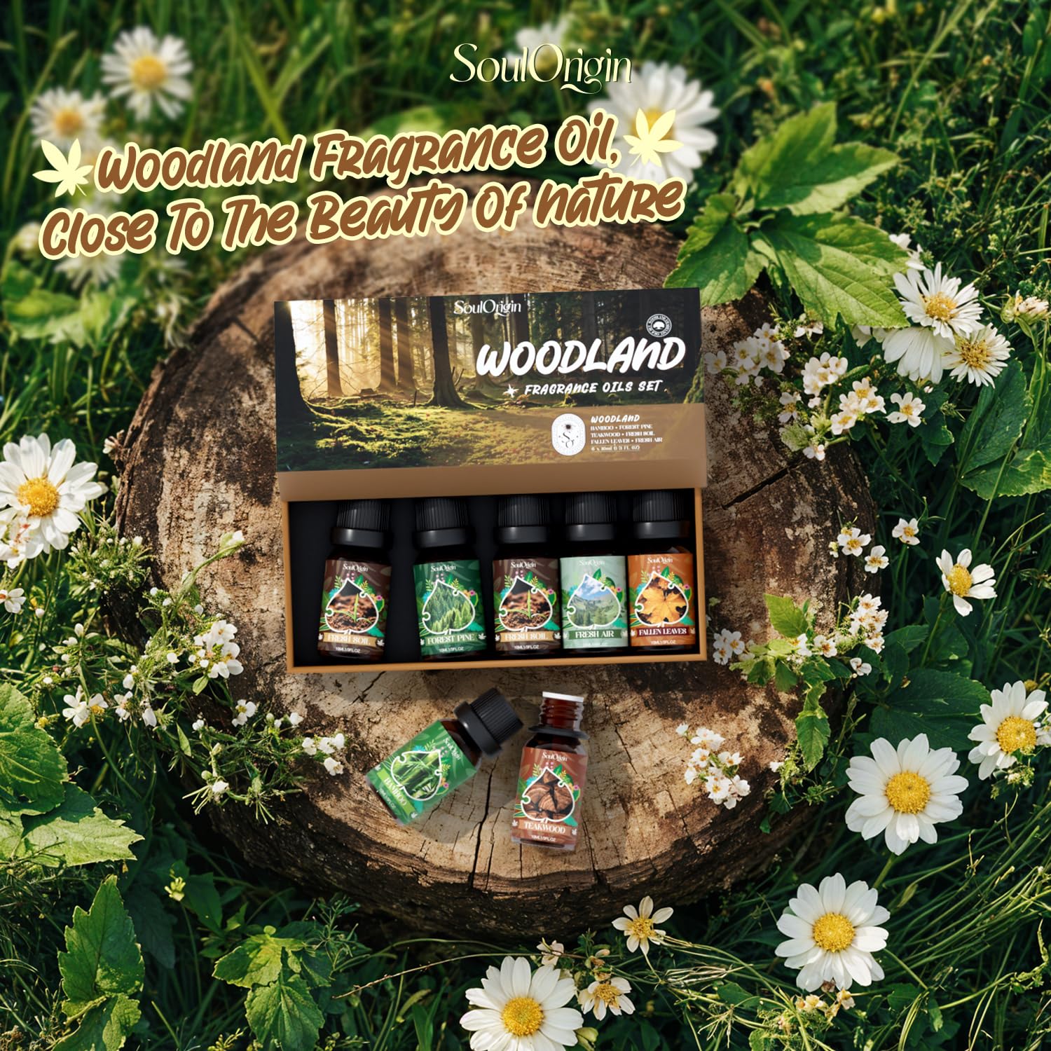 Soulorigin Woodland Fragrance Oils Set – Essential Oil Gift for Diffusers (Forest Pine, Teak, Bamboo, Fresh Soil, Fallen Leaves, Fresh Air)