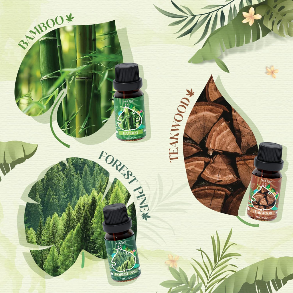 Soulorigin Woodland Fragrance Oils Set – Essential Oil Gift for Diffusers (Forest Pine, Teak, Bamboo, Fresh Soil, Fallen Leaves, Fresh Air)