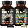 SoundHealth Wild Organic Irish Sea Moss & Shilajit – 2 Bottles, 60 Capsules Each