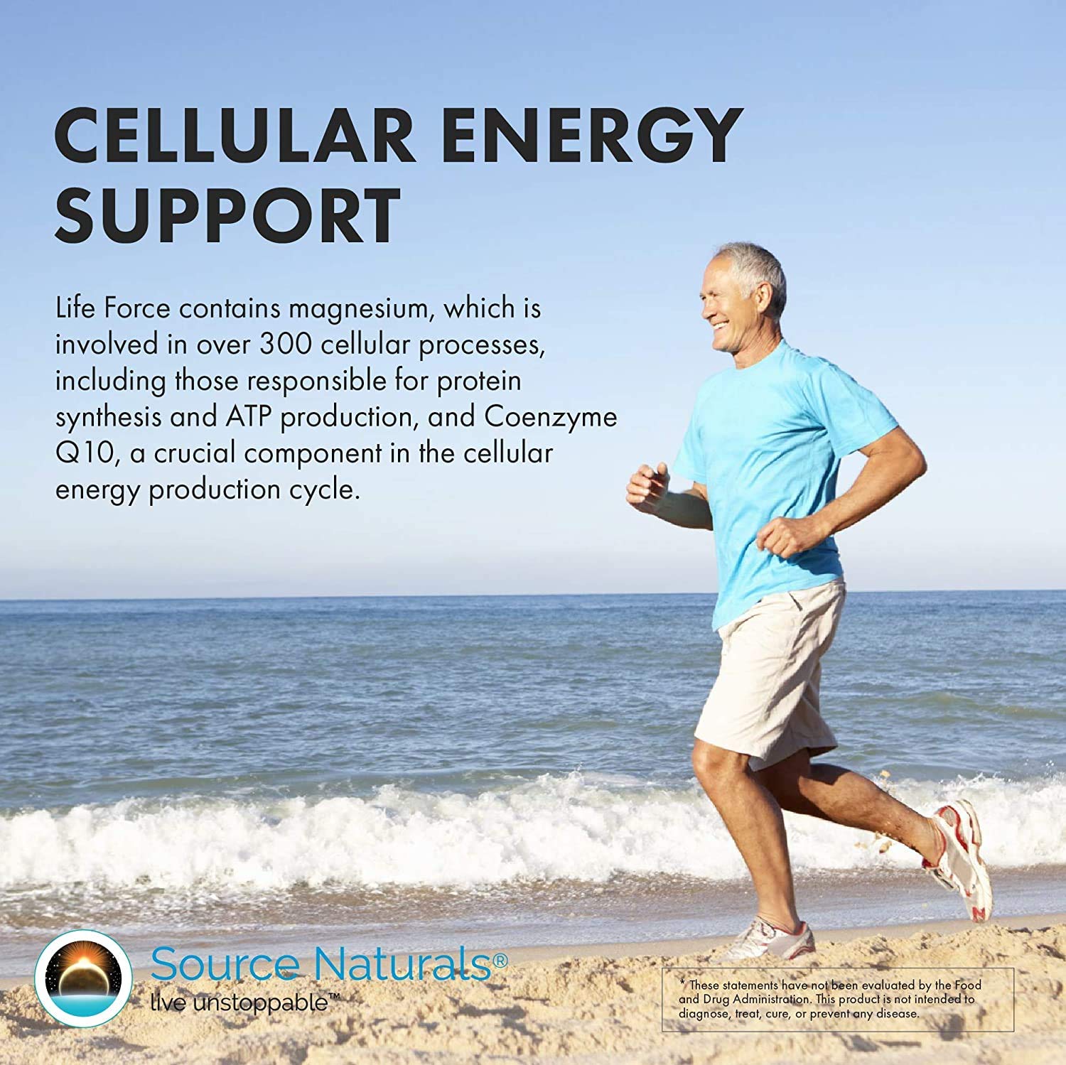 Source Naturals Vegan True Vegan Force Multiple, Advanced Energy Formula for Vegans* - 180 Tablets