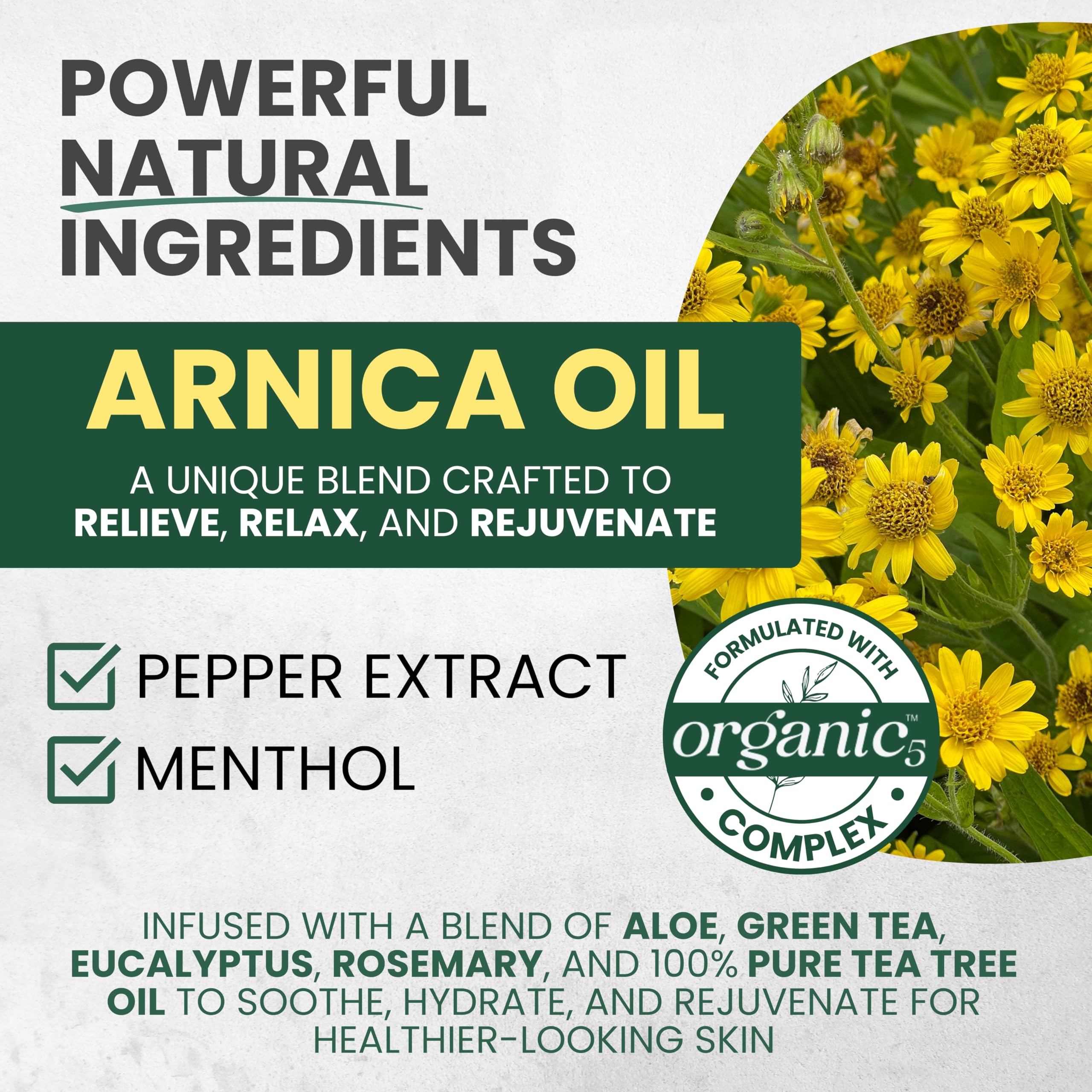 Sore Muscle Massage Oil – Arnica, Eucalyptus & Tea Tree (2-Pack)