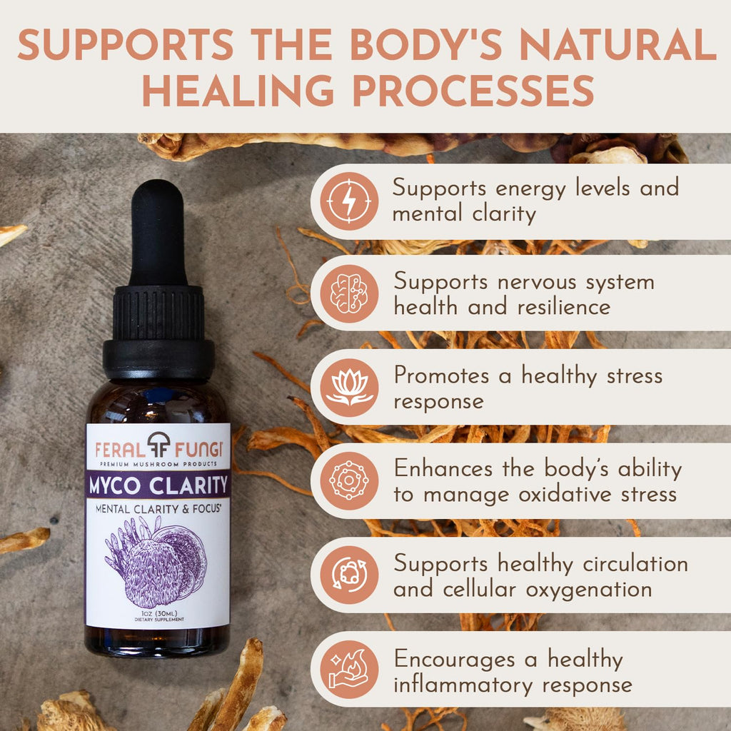 Feral Fungi Myco-Clarity Tincture - 100% Pure Mushroom Extract | USA-Grown 1 oz