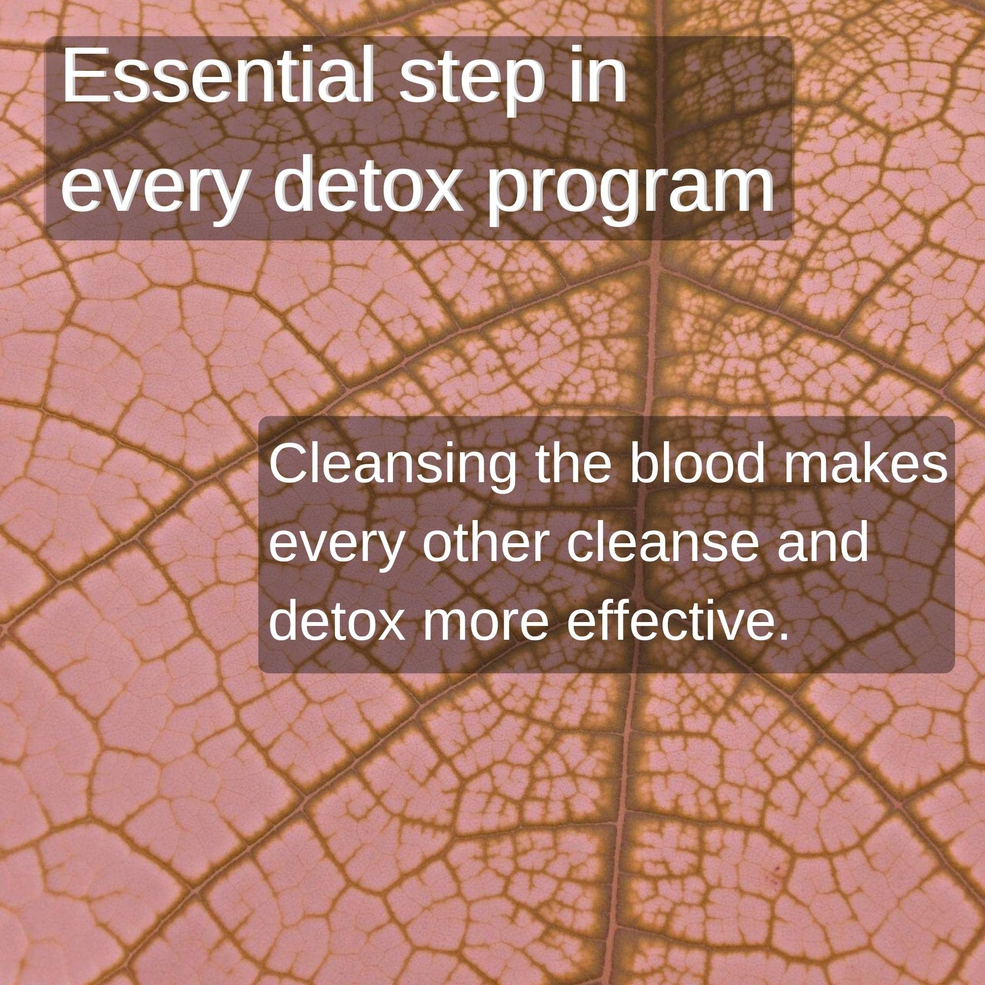 SpeedyVite® Blood Lifeboost Tea – Cleanses & Supports Natural Waste Removal*