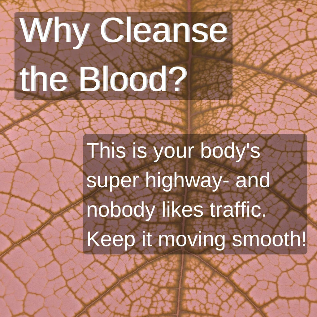 SpeedyVite Blood Cleansing LifeBoost Tea Organic – Herbal Immune Support