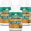 Sohahila Spermidine Supplement 15 MG – Liposomal, 99% Purity, 180 Softgels with Fermented Wheat Germ Extract