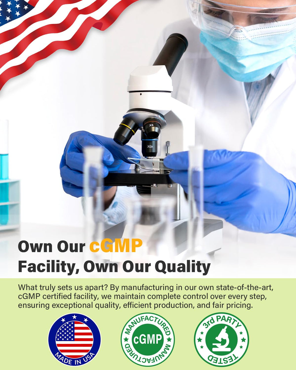 Spermidine & Fisetin Supplement – 20mg Spermidine, 300mg Fisetin | 90 Veggie Caps | Made in USA
