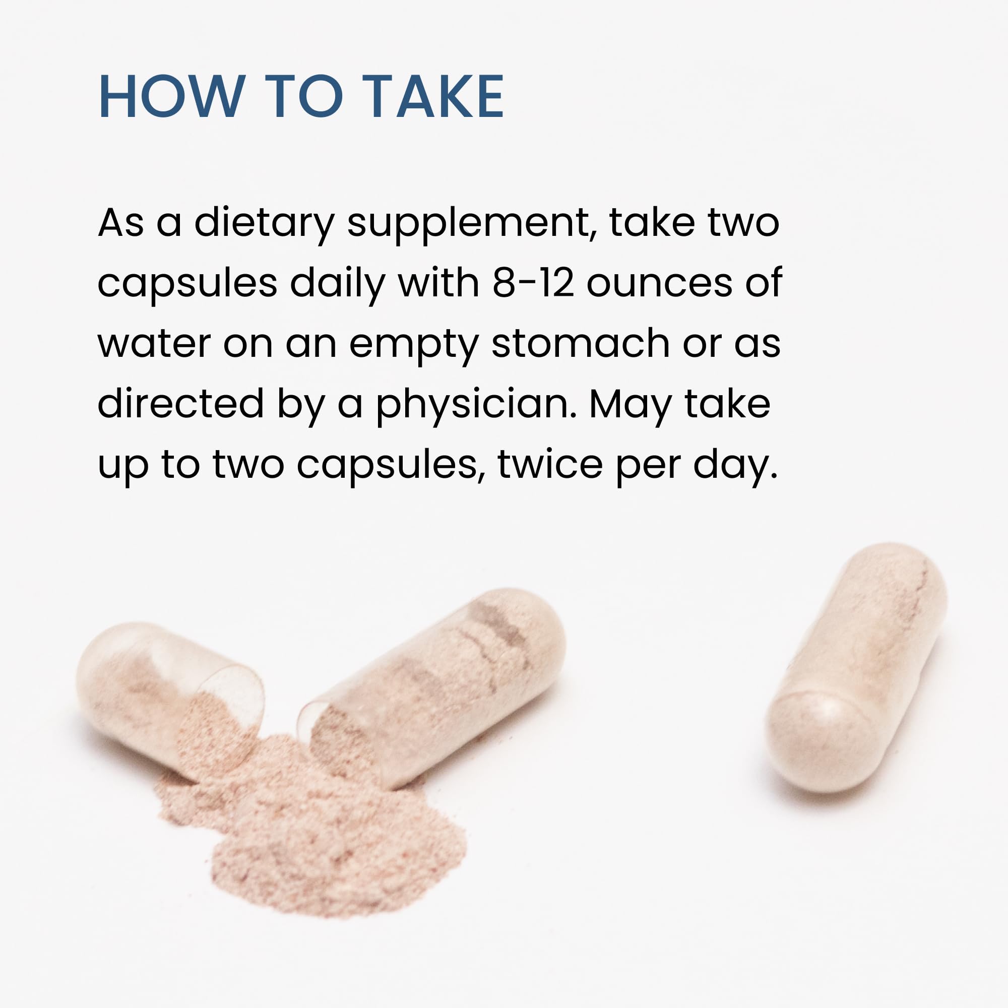 The Wellness Company Spike Support | Nattokinase, Dandelion Root & Black Sativa – 60ct