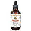 Spirulina Alcohol-Free Liquid Extract | Organic Glycerite 2 oz (USA)