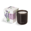 Sprig by Kohler Sleep Aromatherapy Candle – Lavender & Vanilla, 8 oz, 100% Soy-Coconut Wax