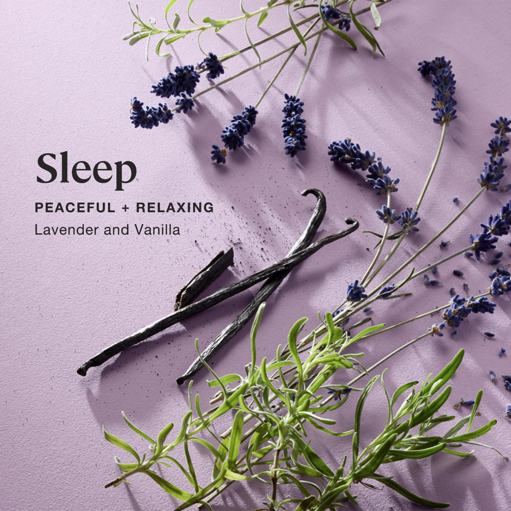 Sprig by Kohler Sleep Aromatherapy Candle – Lavender & Vanilla, 8 oz, 100% Soy-Coconut Wax