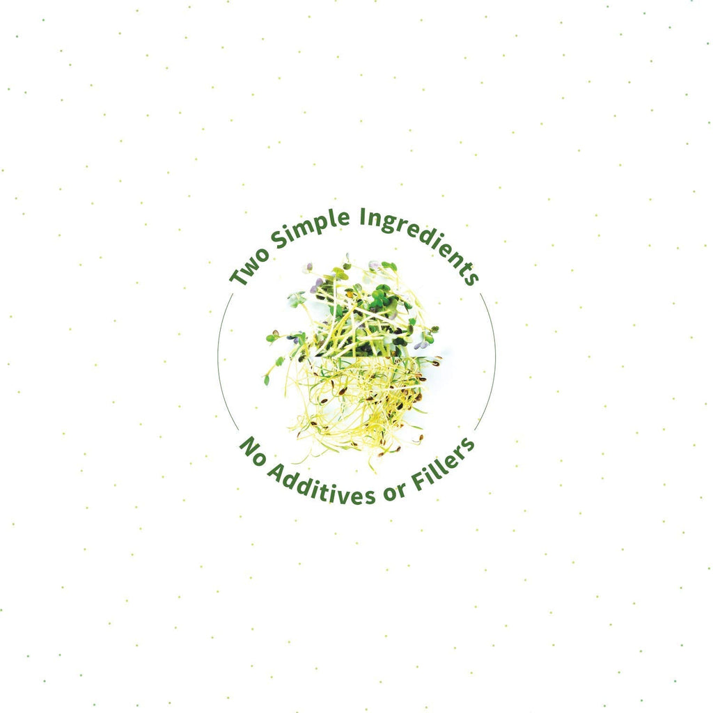 Sprout Living Broccoli & Kale Organic Sprout Mix – Freeze-Dried Green Powder (4 oz, 32 servings)