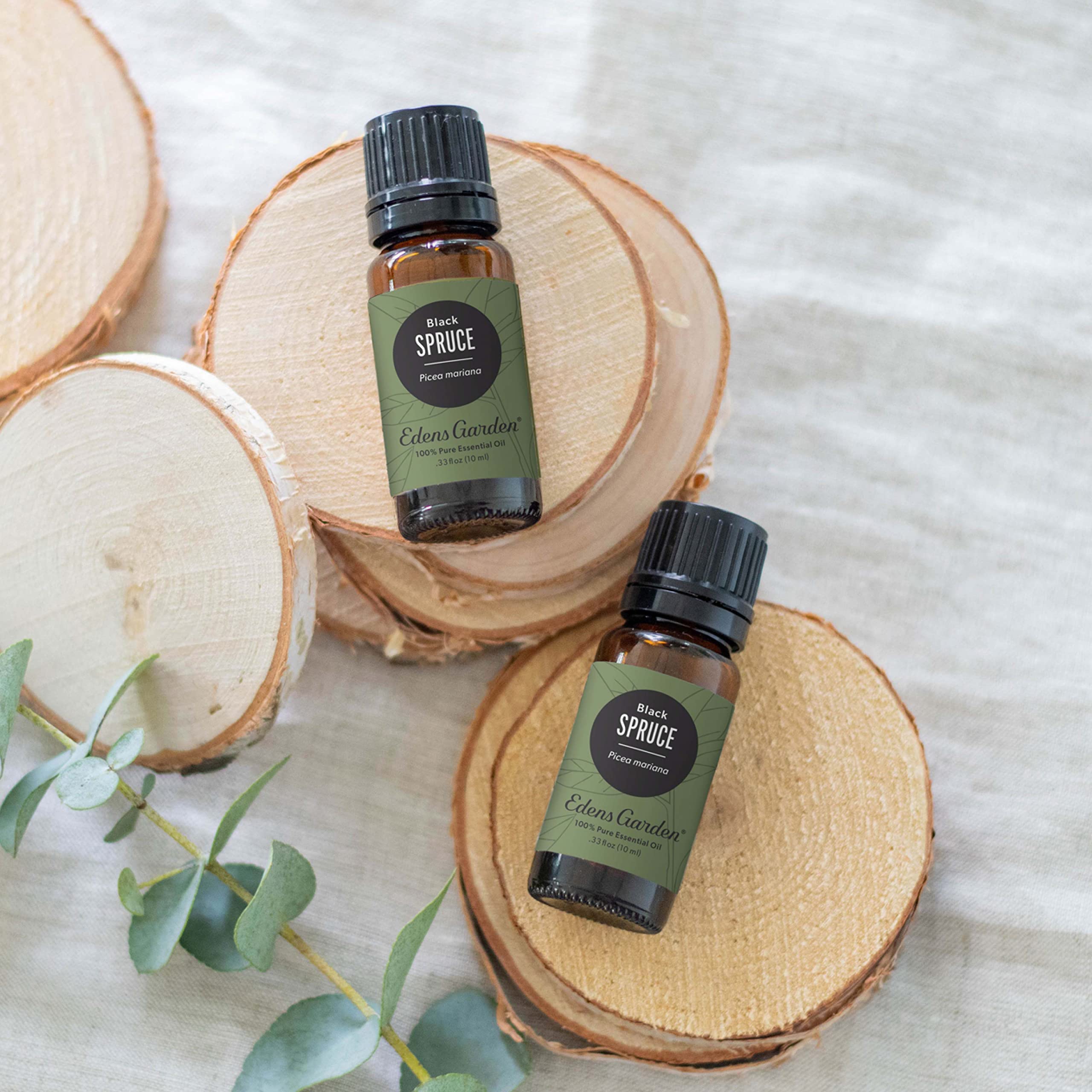 Edens Garden Spruce-Black Essential Oil | 100% Pure Premium Grade 30 ml