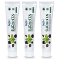Sri Sri Tattva Sudanta Charcoal Toothpaste Gel – SLS & Fluoride Free Herbal Toothpaste (100g Tube, Pack of 3)