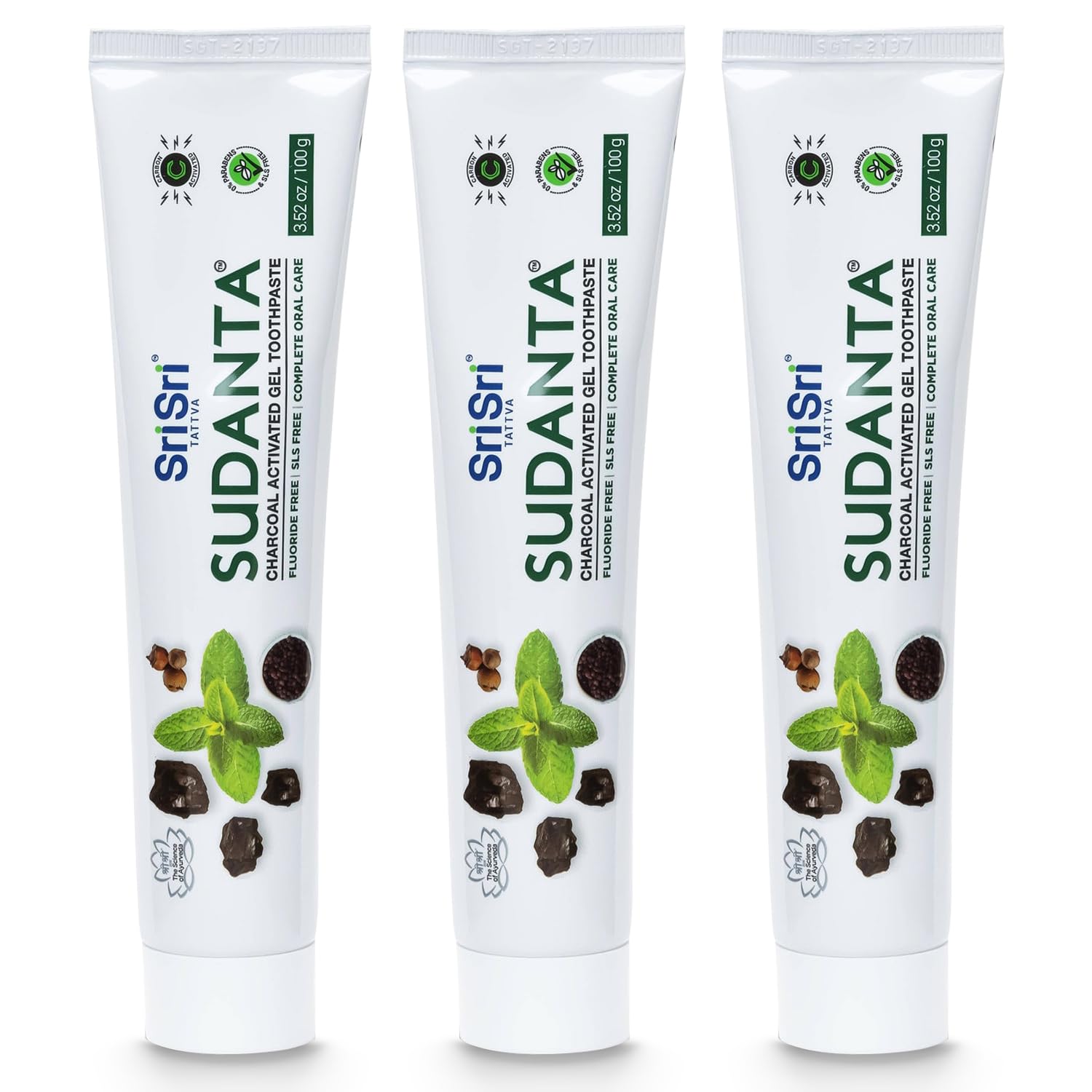 Sri Sri Tattva Sudanta Charcoal Toothpaste Gel – SLS & Fluoride Free Herbal Toothpaste (100g Tube, Pack of 3)