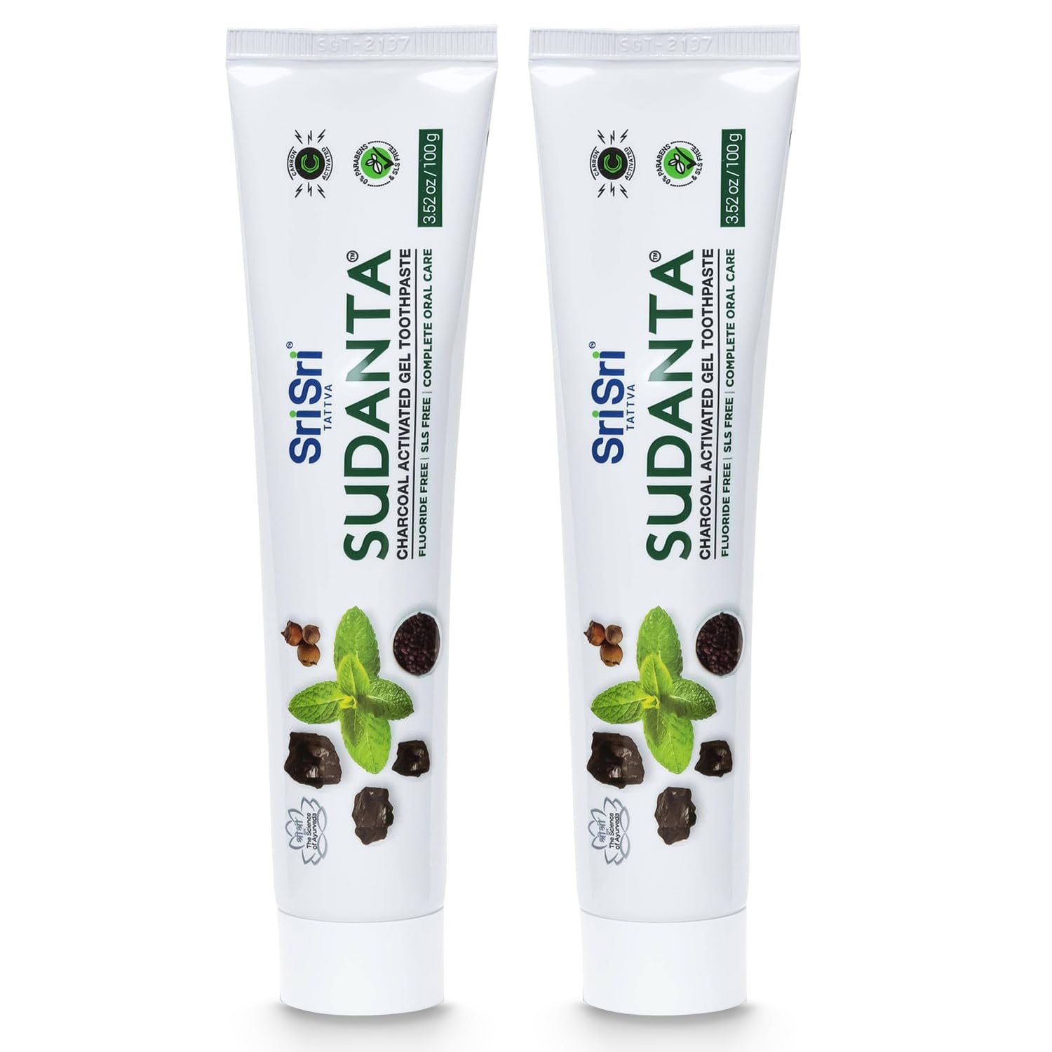 Sri Sri Tattva Sudanta Charcoal Toothpaste Gel – SLS & Fluoride Free, Herbal Neem