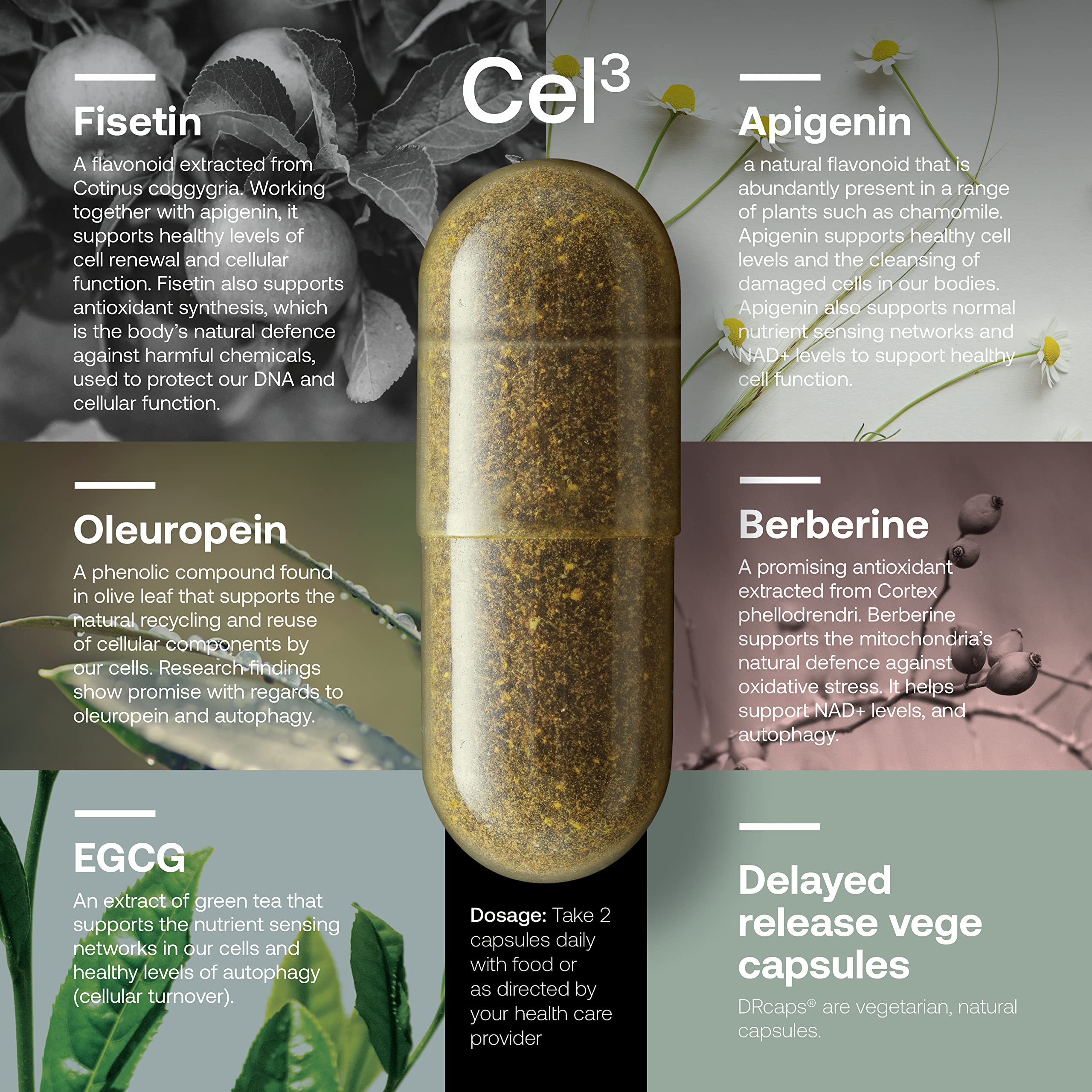 SRW Cel³ Renewal 60 Capsules | Stem Cell Support for Youthful Aging