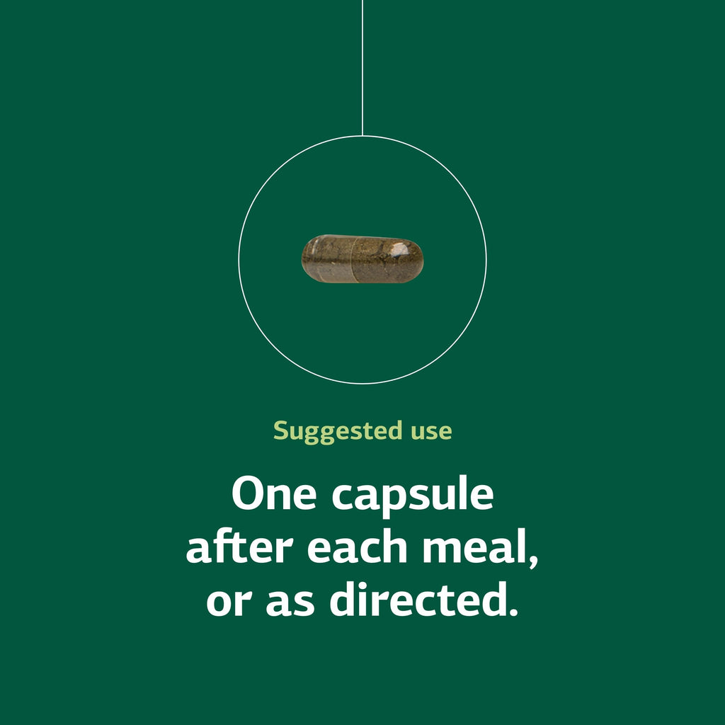 Standard Process Okra Pepsin E3 - Digestive Support for Protein Digestion, 90 Capsules