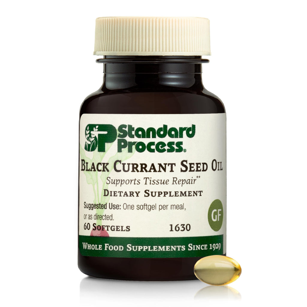 Black Currant Seed Oil by Standard Process – Supports Blood Flow, Immune Function & Tissue Health | Gluten-Free | 60 Softgels