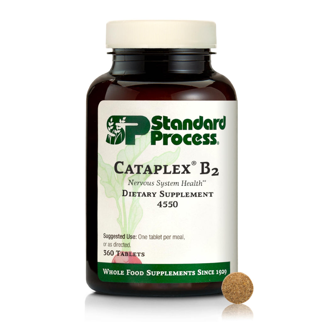 Standard Process Cataplex B2 – Nervous System Health Dietary Supplement (Non-Dairy & Non-Soy) – 360 Tablets