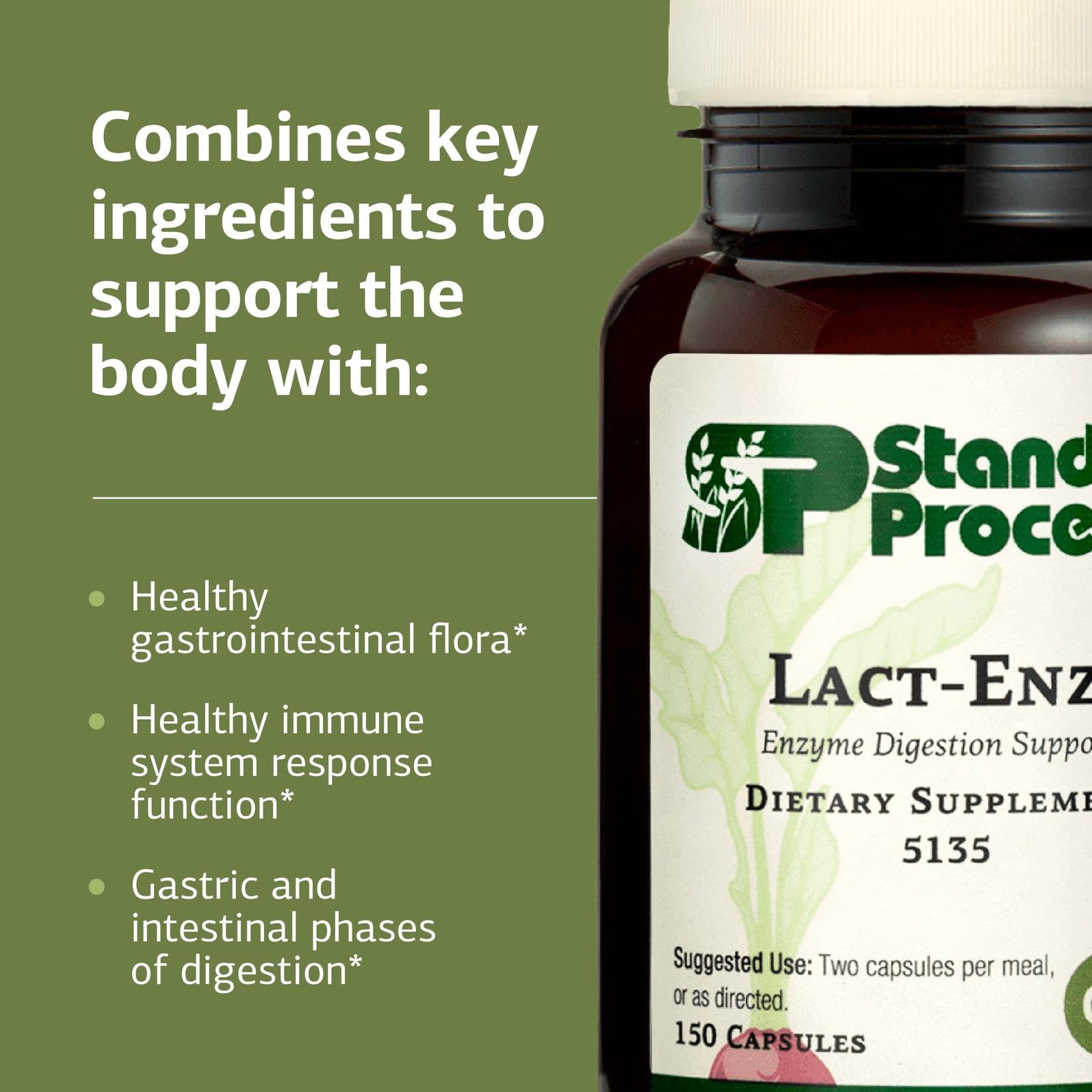 Standard Process Lact-ENZ: Gluten-Free Probiotic Digestive Support - 90 Capsules
