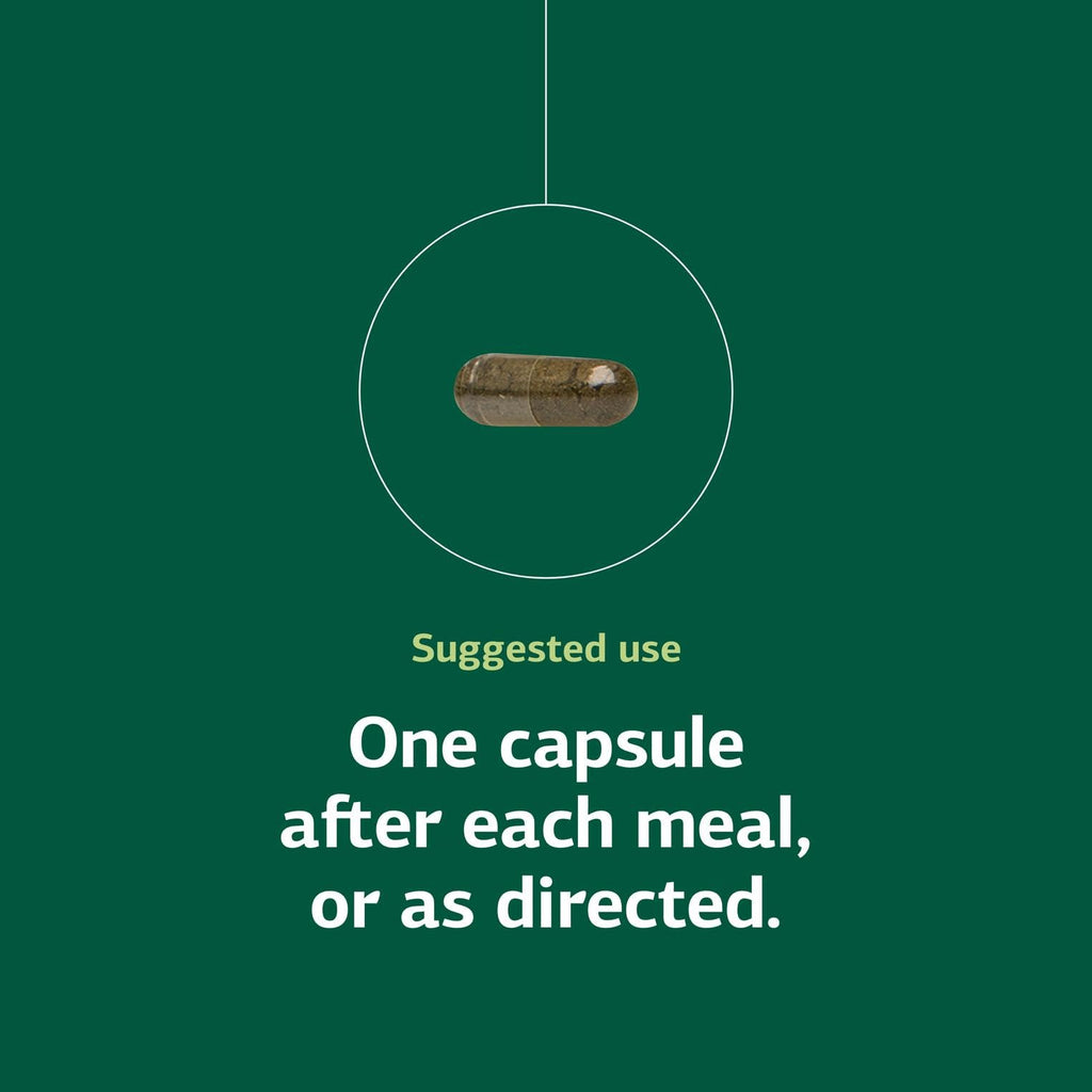 Standard Process Okra Pepsin E3 - Digestive Support for Protein Digestion, 90 Capsules