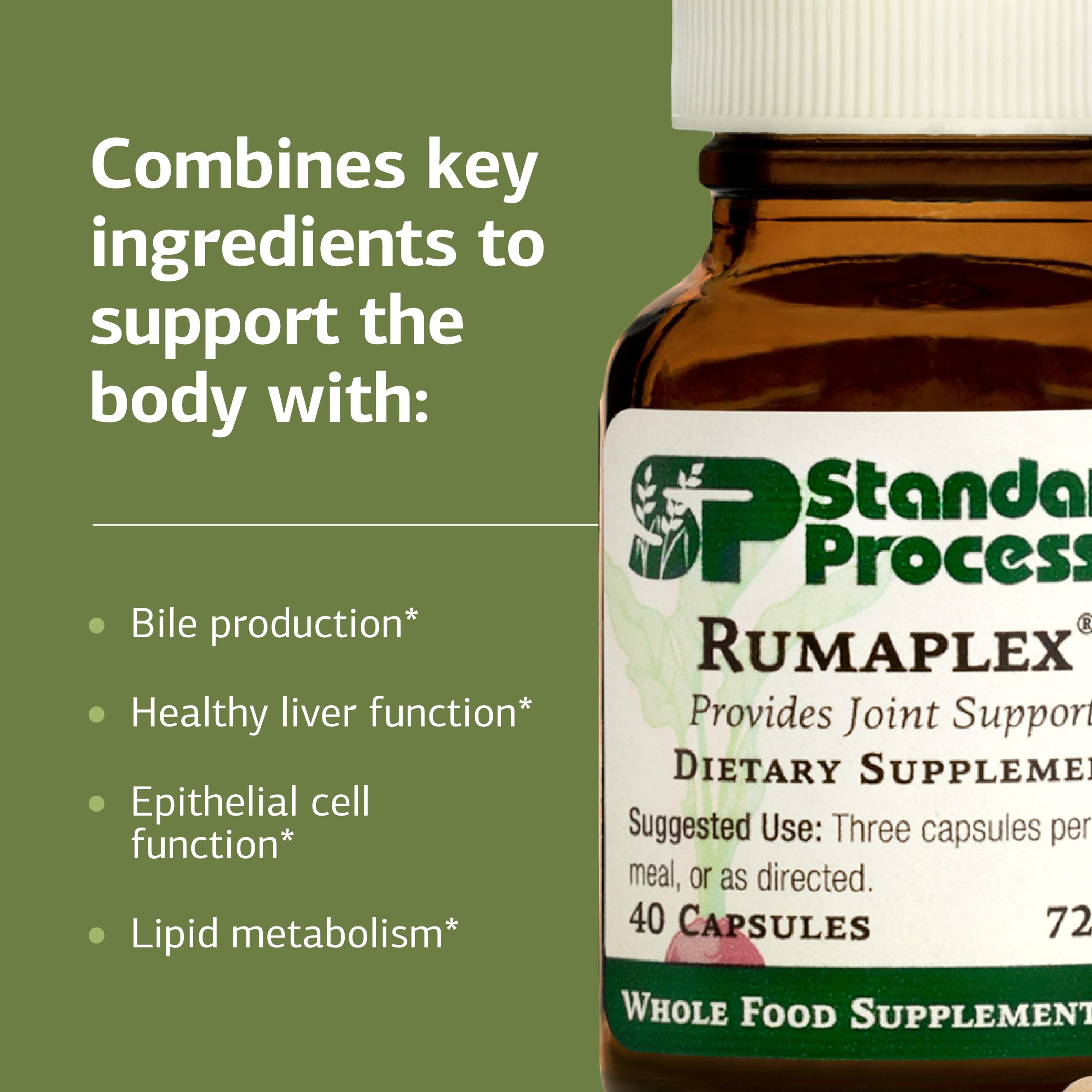Standard Process Rumaplex – Healthy Liver Support Supplement | Vitamin A & Niacin | 40 Capsules