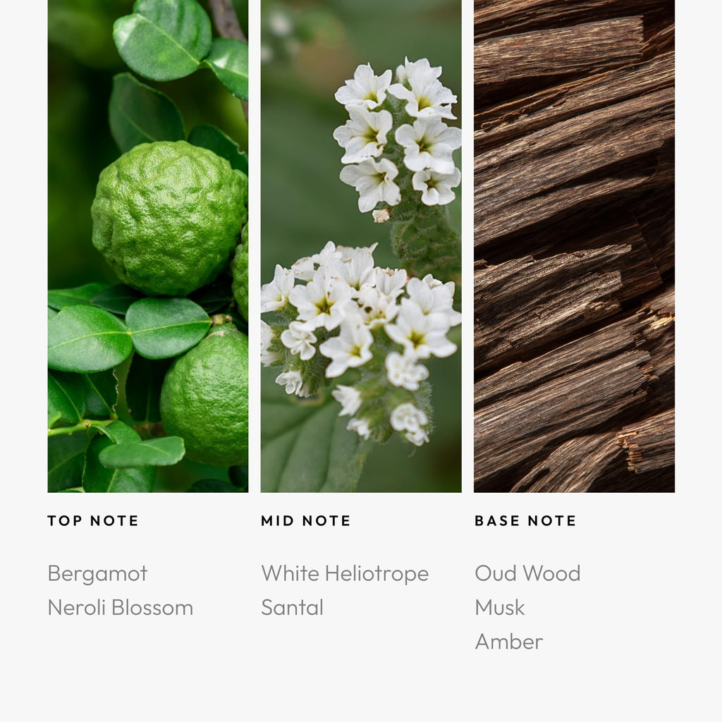 Stargazing 200mL | Aroma360 Fragrance Oil for Luxury Home Diffusers