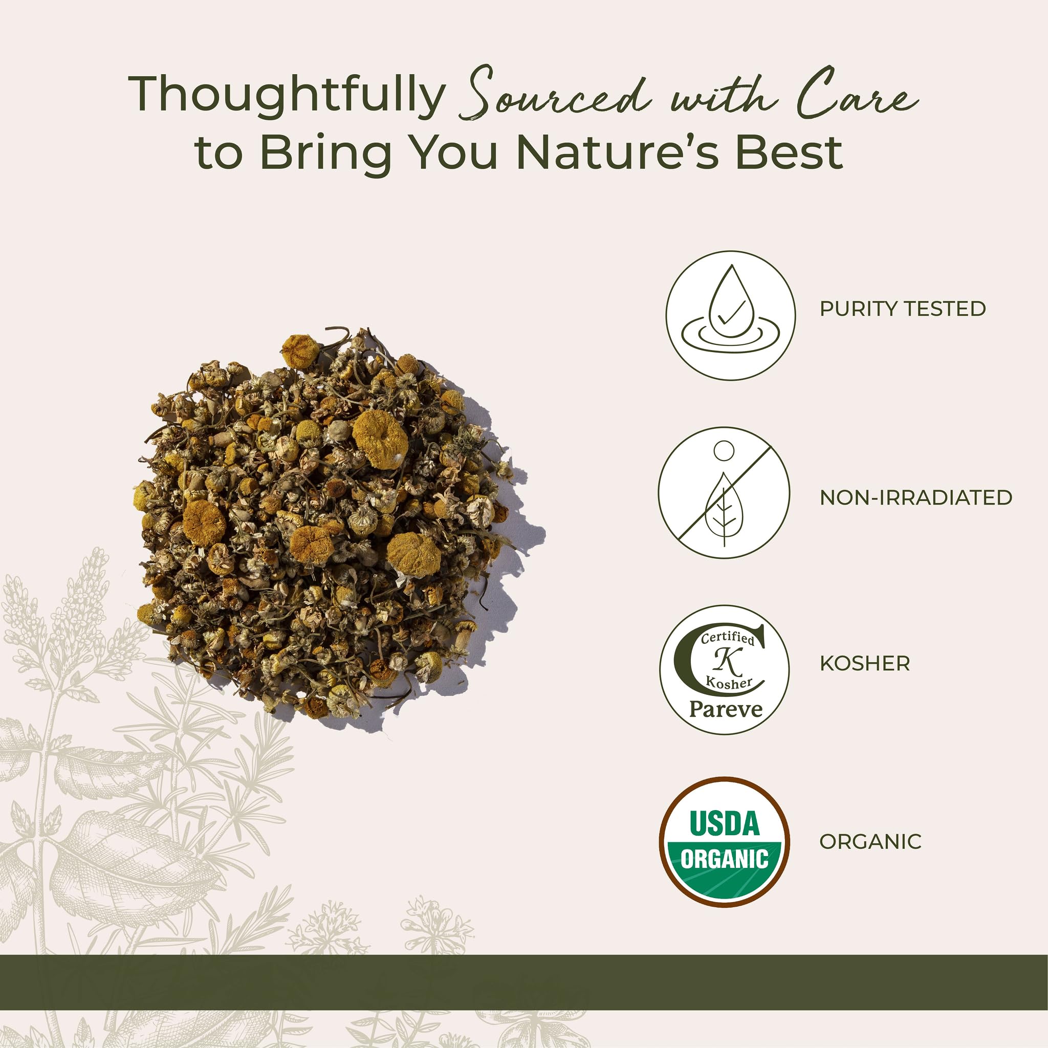 Starwest Botanicals Organic Chamomile Flowers Whole - 4 oz Pouch | Kosher, Non-GMO, Egypt