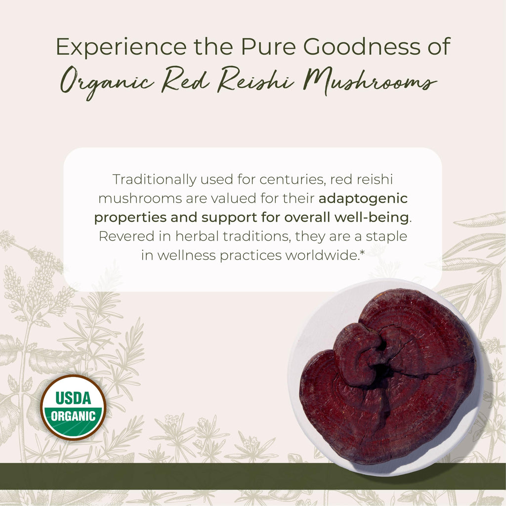 Starwest Botanicals Organic Red Reishi Mushrooms - 4 oz Pouch | Kosher, Non-GMO