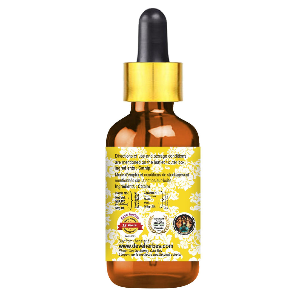 dève herbes Catnip Essential Oil (Nepeta cataria) 5ml with Glass Dropper – Pure & Steam Distilled