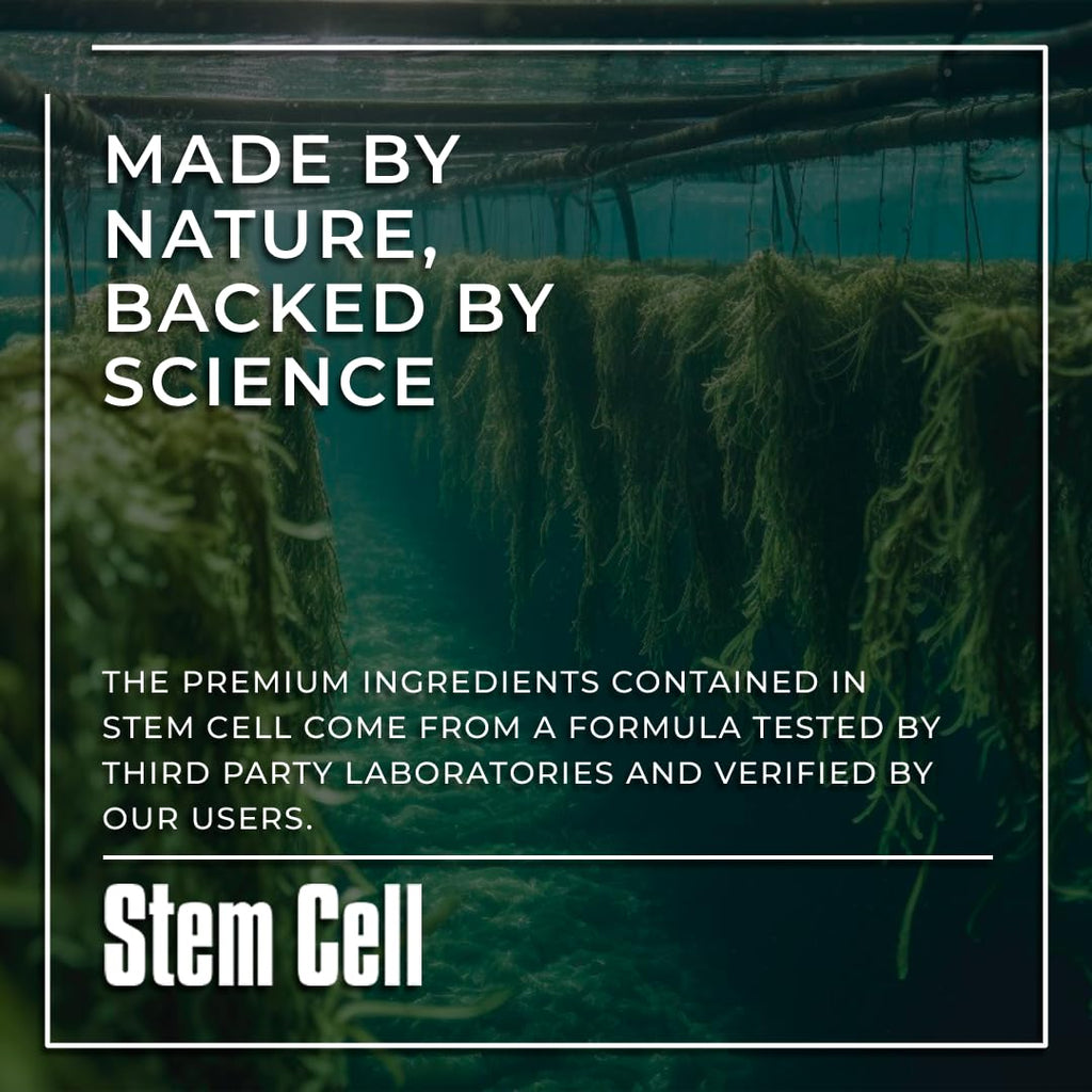 Premium Stem Cell Supplements 1,000mg (240 Caps) – Boost Immunity, Reduce Joint Soreness, Anti-Aging & Longevity with Spirulina & Chlorella