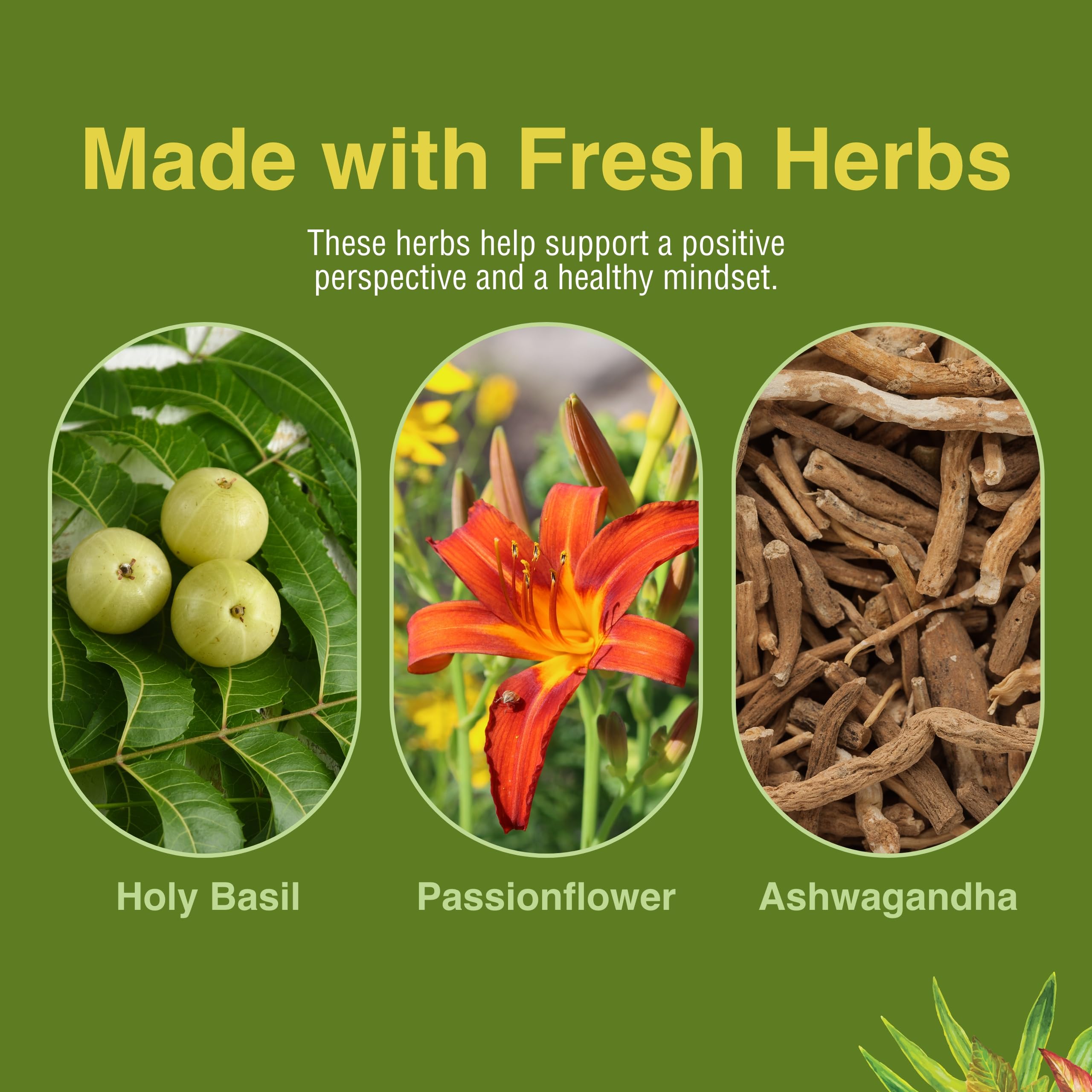 Herbs Etc. Stress ReLeaf - Herbal Stress Support Supplement | Relaxation & Gluten-Free | 60 Softgels (60 Servings)