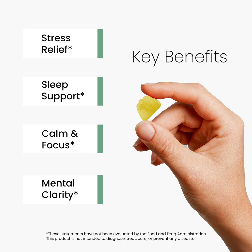 Stress Support Gummies for Kids & Adults | L-Theanine 400mg, Magnesium, GABA & Ashwagandha