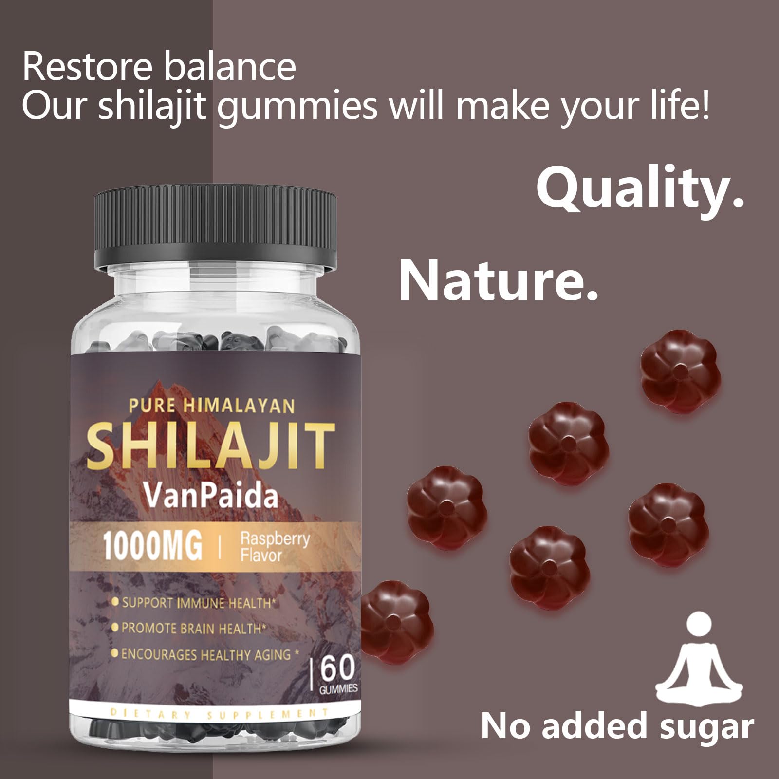 Sugar Free Shilajit Gummies - Energy, Brain & Immune Support | 85 Minerals & Ashwagandha | Raspberry