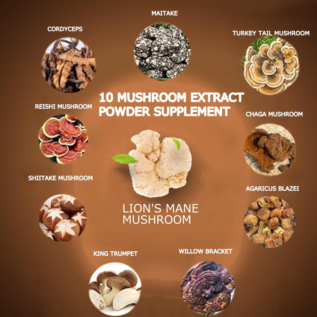 Suiyilary Mushroom Coffee – 10-Mushroom Blend (Lion's Mane, Reishi, Cordyceps) for Energy, Focus & Immunity 150g