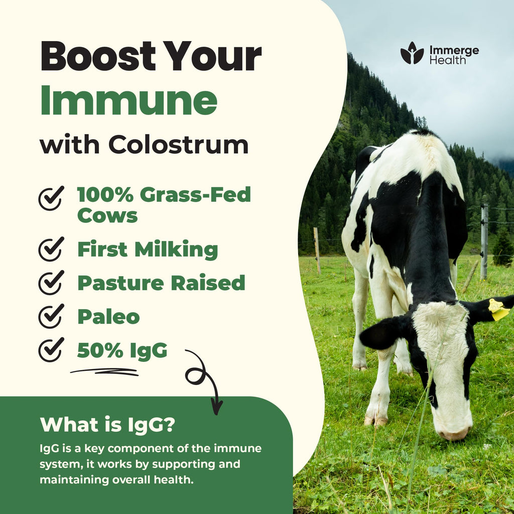ImmergeHealth Super Colostrum Powder – Grass-Fed, 50% IgG for Gut & Vitality