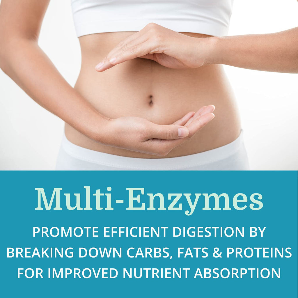 Morter HealthSystem SuperDigest – Multi-Enzyme Digestive Support with Alfalfa, Papain & Bromelain (Vegetarian Friendly)