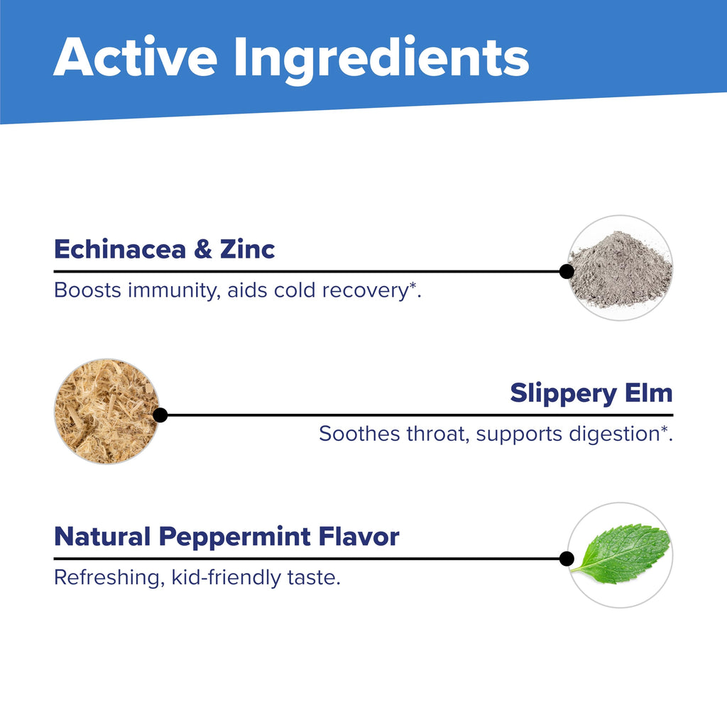 Superior Source Children's Echinacea & Zinc Lozenjets - Immune Support for Kids - Non-GMO & Gluten-Free - Peppermint - 60 MicroLingual Tablets