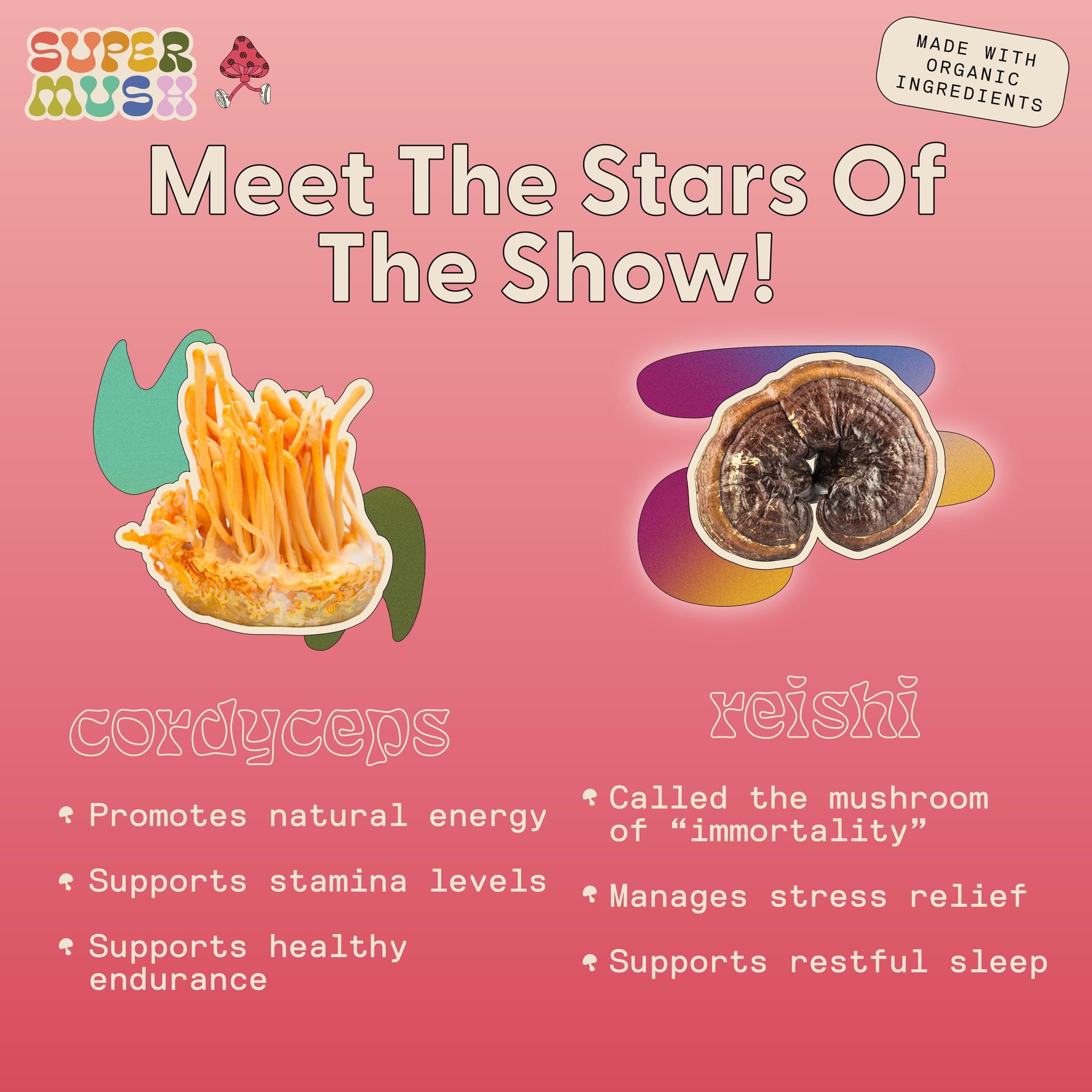 SuperMush Daily Creativity and Connection SuppleMint | Cordyceps, Reishi, Maca & Bacopa Monnieri Mixed Mushrooms Extract | Pure Breath Mint for Creativity & Connection | 20g Organic Mushroom Mint