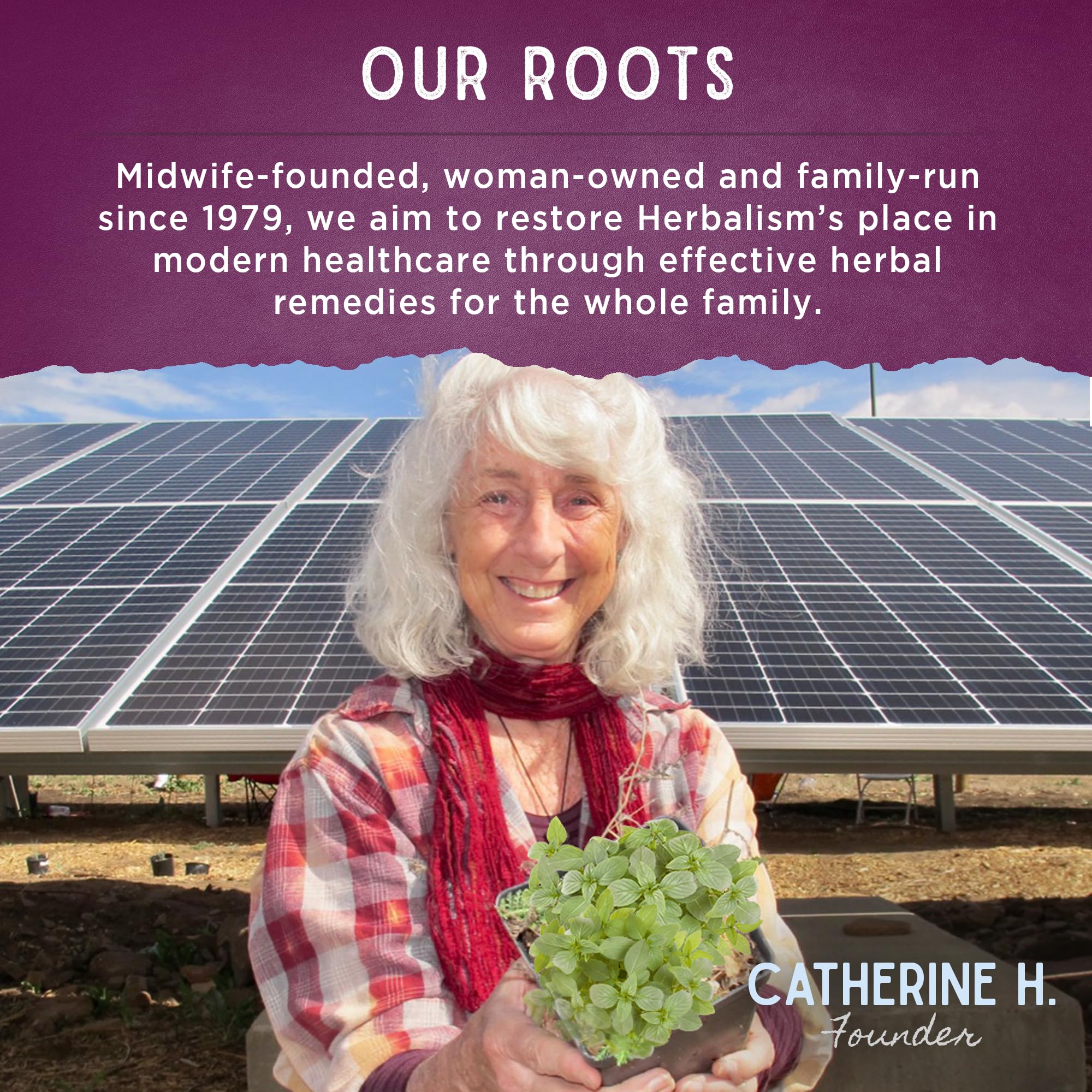 WishGarden Sleepy Nights for Kids – All-Natural Herbal Sleep Tincture (No Melatonin), 4oz