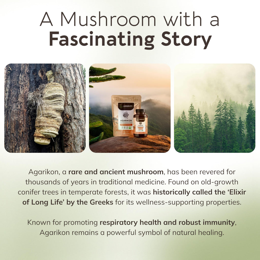 Longevity Botanicals Agarikon Mushroom Extract Capsules (120) – 10:1 Concentrate, 100% Fruiting Bodies