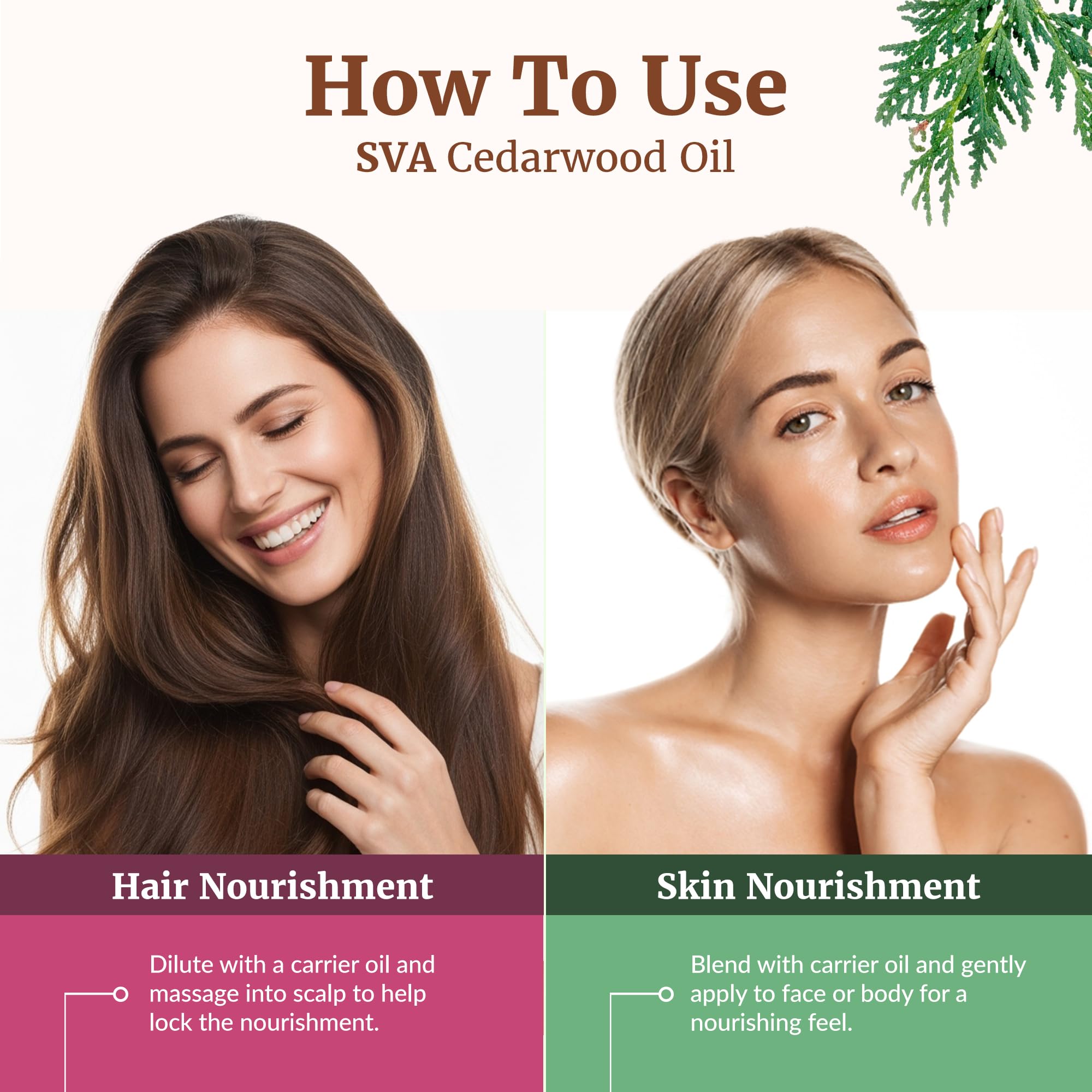 SVA Cedarwood Essential Oil 4oz – 100% Natural Cupressus Funebris